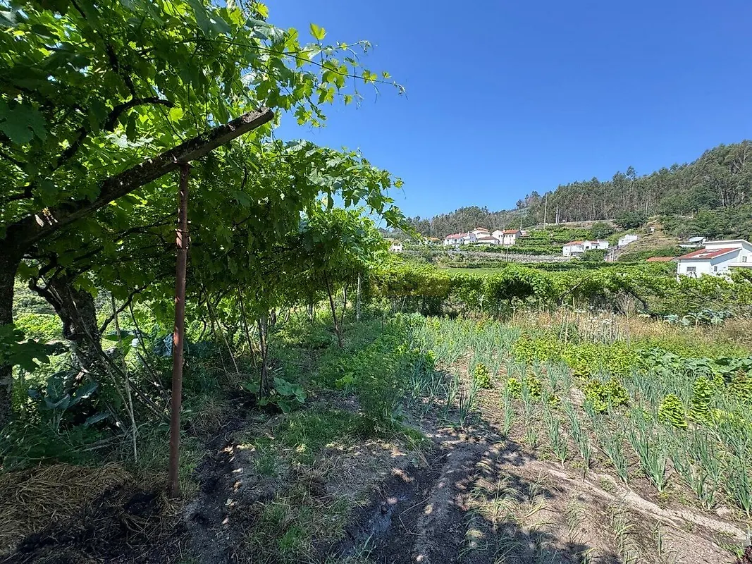 Moradia T4 à venda em Campelo e Ovil, Baião — foto 18