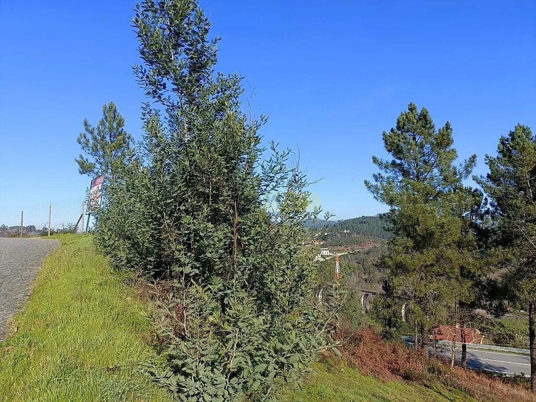 Moradia T3 à venda em São Bernardo, Aveiro — foto 15