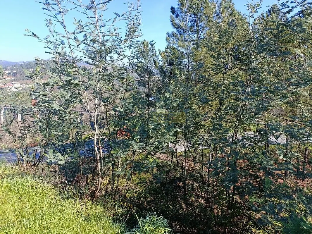 Moradia T3 à venda em São Bernardo, Aveiro — foto 12