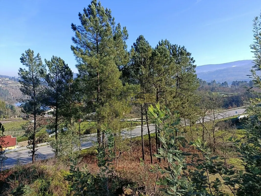 Moradia T3 à venda em São Bernardo, Aveiro — foto 9