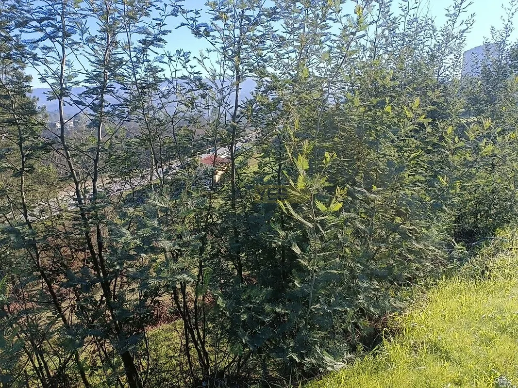 Moradia T3 à venda em São Bernardo, Aveiro — foto 10