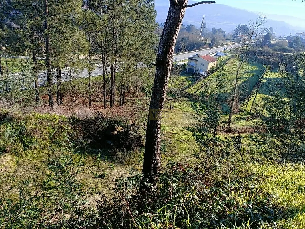 Moradia T3 à venda em São Bernardo, Aveiro — foto 3
