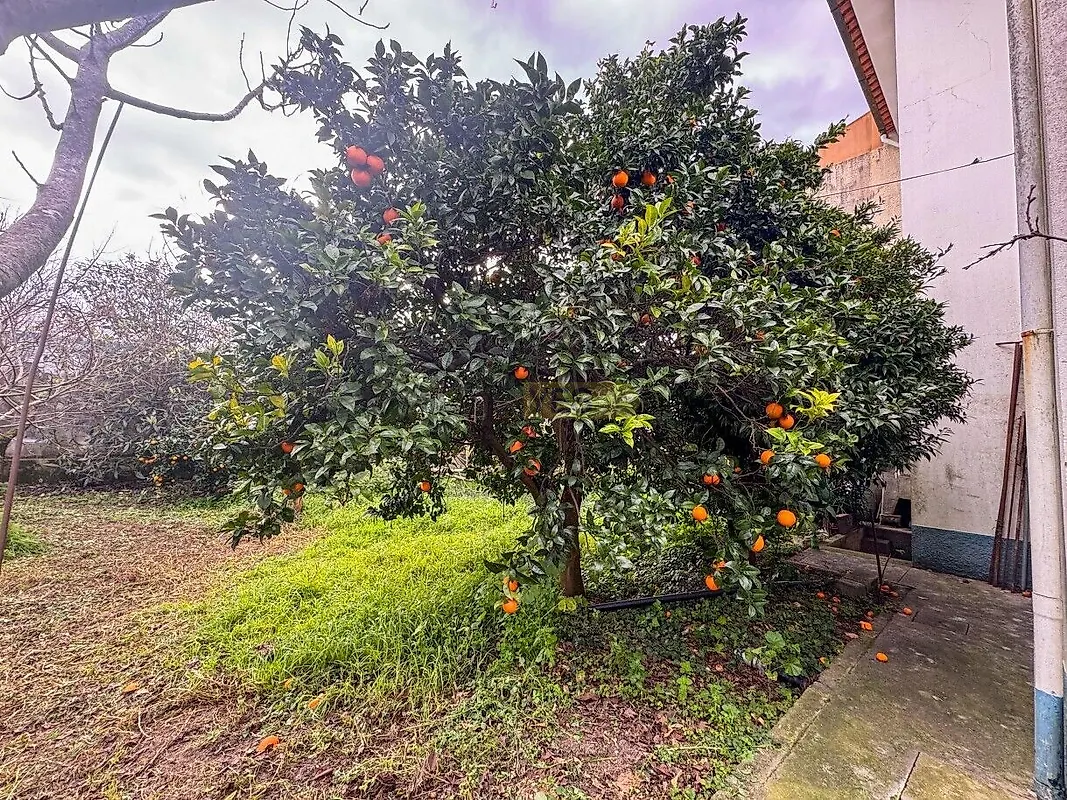 Moradia T4 à venda em Perre, Viana do Castelo — foto 17