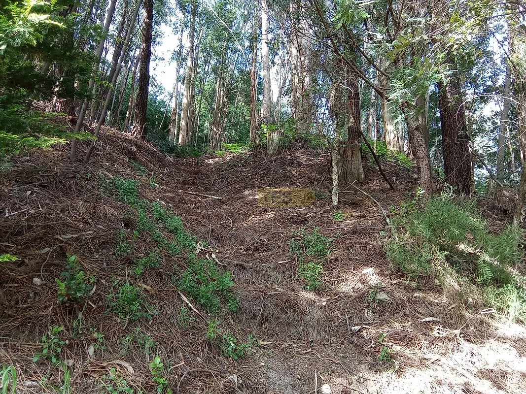 Moradia T0 à venda em Caminha (Matriz) e Vilarelho, Caminha — foto 19