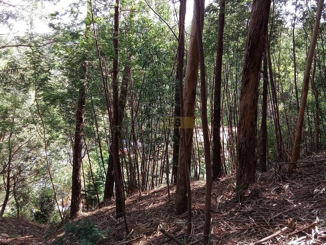 Moradia T0 à venda em Caminha (Matriz) e Vilarelho, Caminha — foto 17
