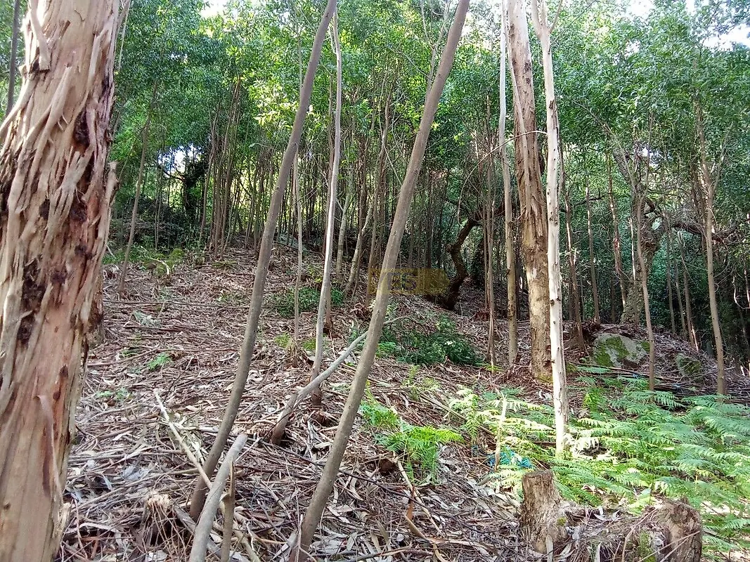 Moradia T0 à venda em Caminha (Matriz) e Vilarelho, Caminha — foto 16
