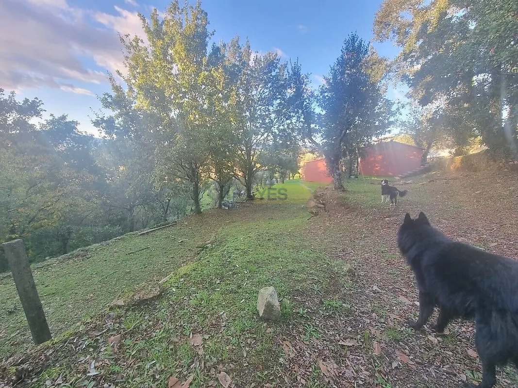 Moradia T6+ à venda em Argela, Caminha — foto 17