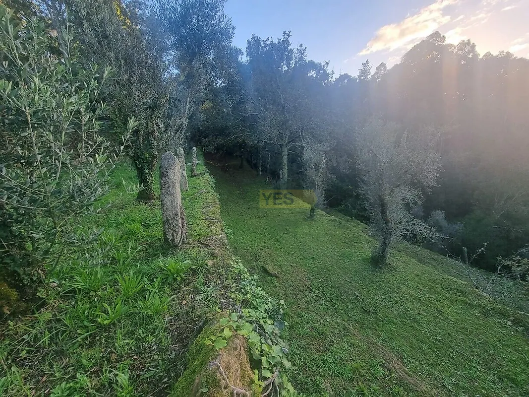 Moradia T6+ à venda em Argela, Caminha — foto 15