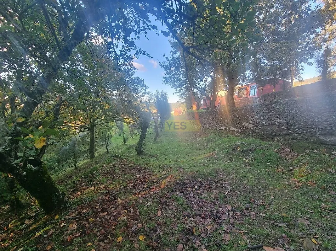 Moradia T6+ à venda em Argela, Caminha — foto 14