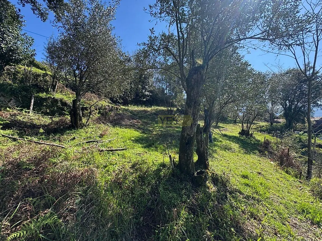 Moradia T0 à venda em Anreade e São Romão de Aregos, Resende — foto 8
