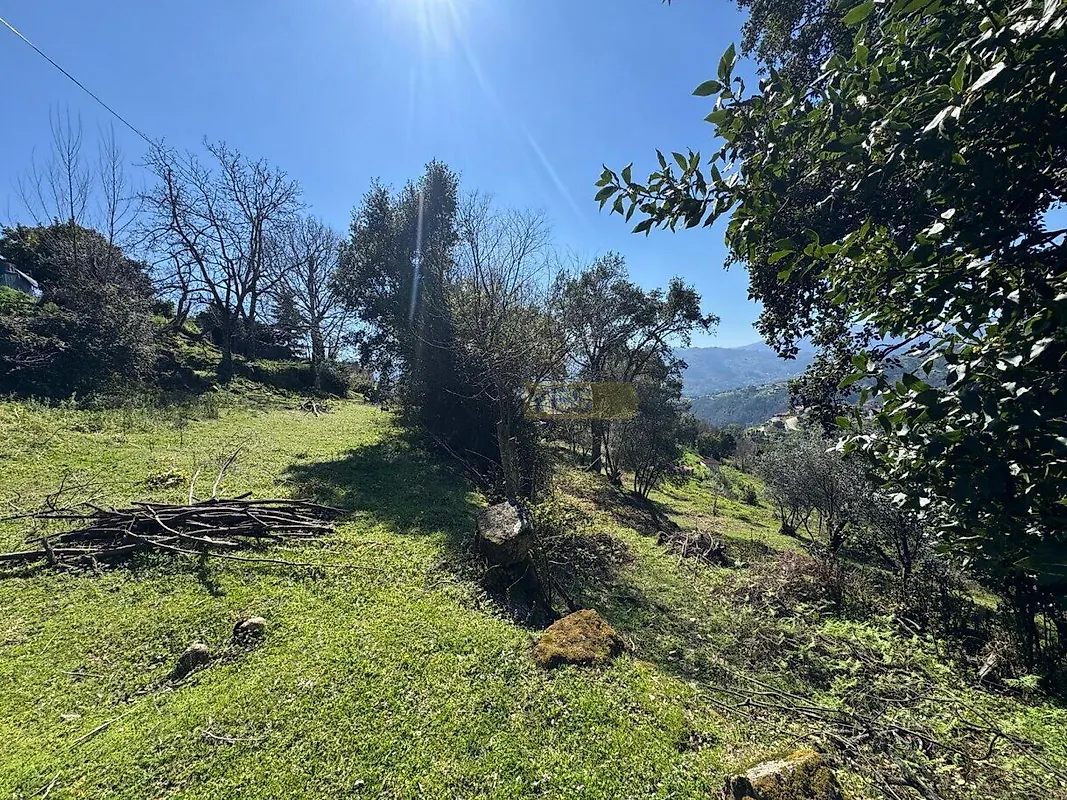 Moradia T0 à venda em Anreade e São Romão de Aregos, Resende — foto 13