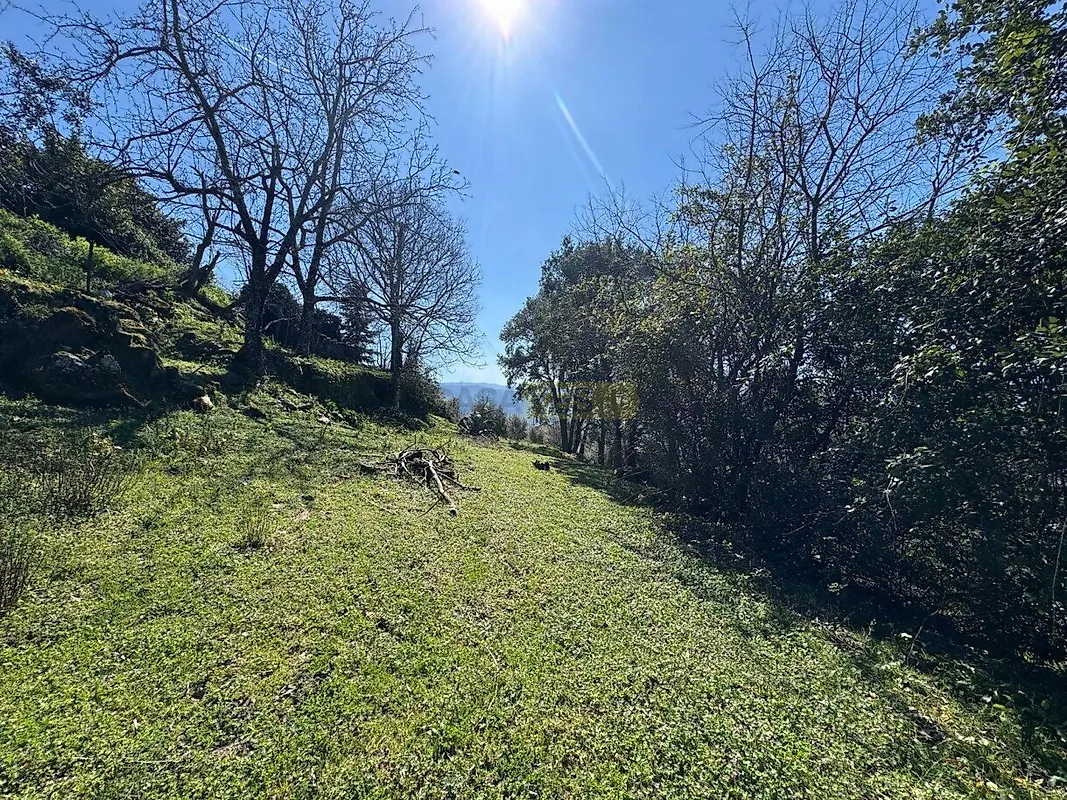 Moradia T0 à venda em Anreade e São Romão de Aregos, Resende — foto 14