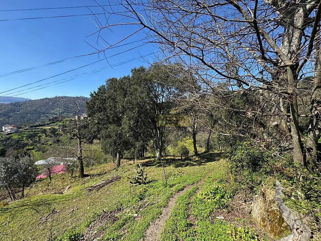 Moradia T0 à venda em Anreade e São Romão de Aregos, Resende — foto 17