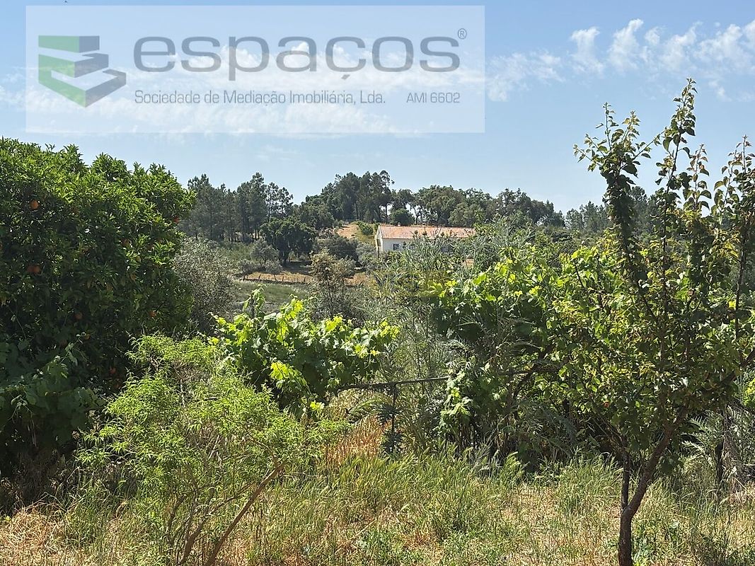 Moradia T2 à venda em Benquerenças, Castelo Branco — foto 22