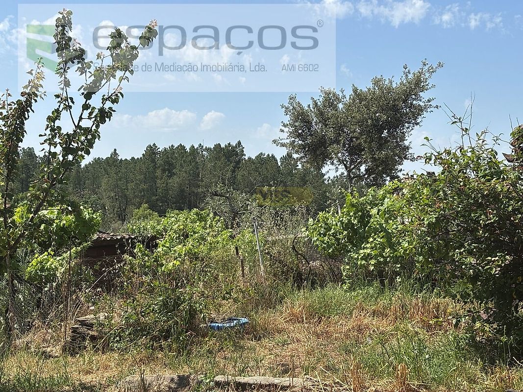 Moradia T2 à venda em Benquerenças, Castelo Branco — foto 23