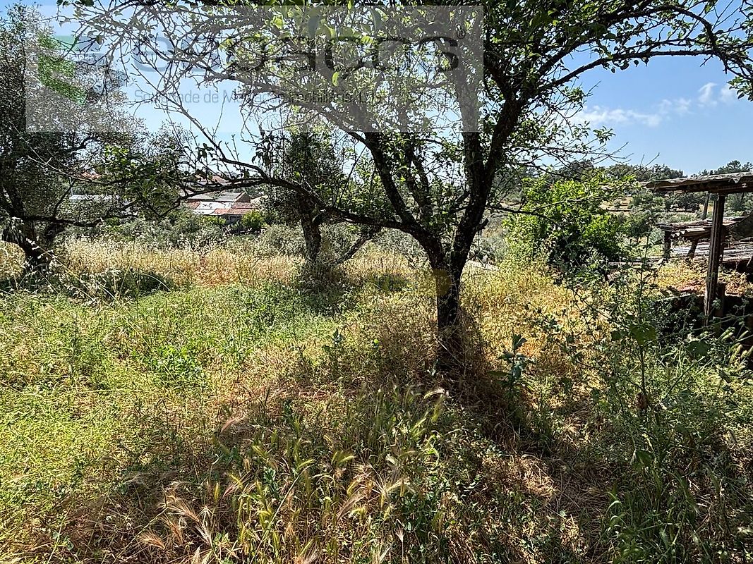 Moradia T2 à venda em Benquerenças, Castelo Branco — foto 25