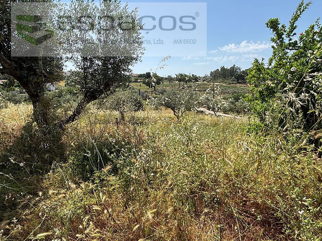 Moradia T2 à venda em Benquerenças, Castelo Branco — foto 26