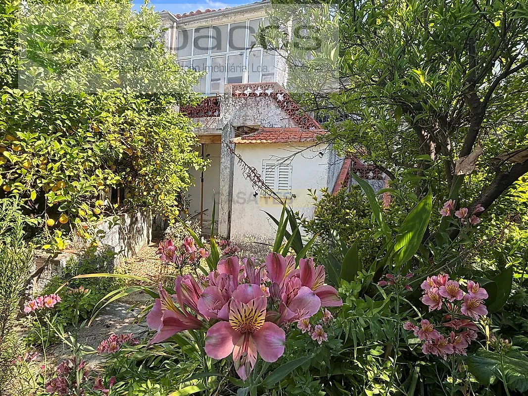 Moradia T3 à venda em Rosmaninhal, Idanha-a-Nova — foto 27