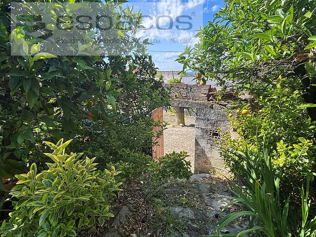 Moradia T3 à venda em Rosmaninhal, Idanha-a-Nova — foto 28