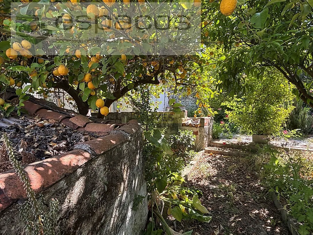 Moradia T3 à venda em Rosmaninhal, Idanha-a-Nova — foto 29