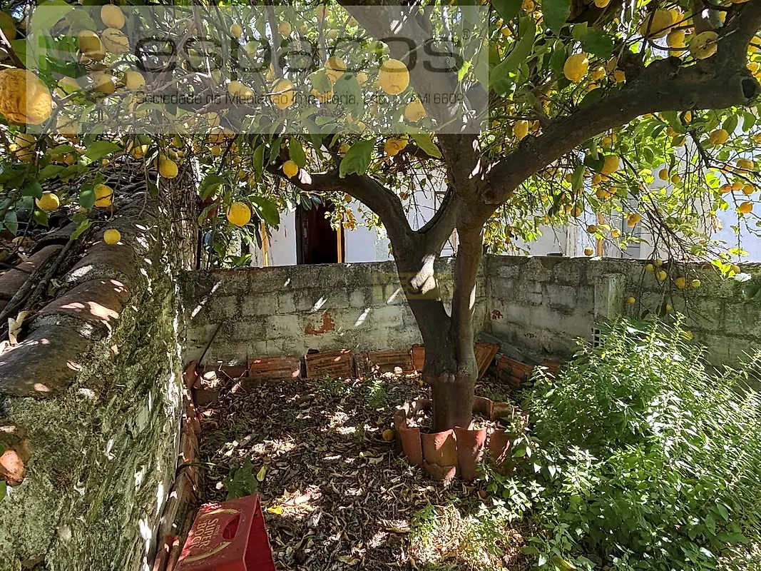 Moradia T3 à venda em Rosmaninhal, Idanha-a-Nova — foto 30