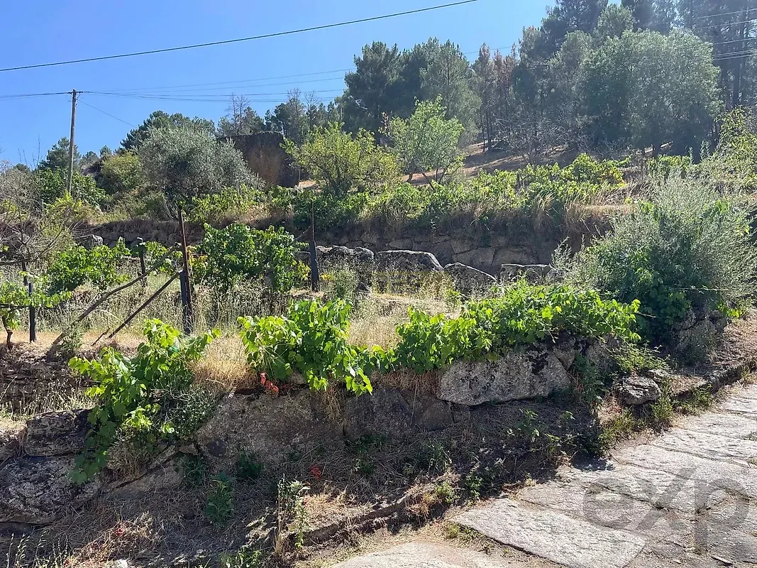 Moradia T3 à venda em Mizarela, Pêro Soares e Vila Soeiro, Guarda — foto 17