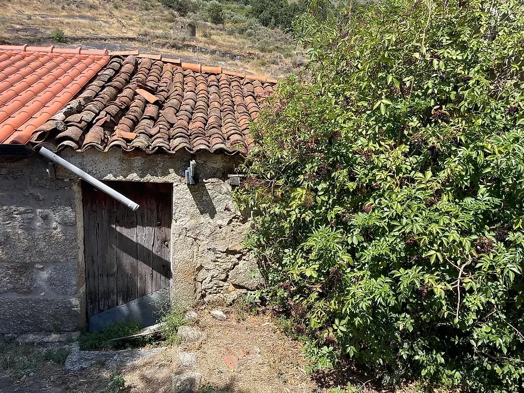 Moradia T3 à venda em Mizarela, Pêro Soares e Vila Soeiro, Guarda — foto 13