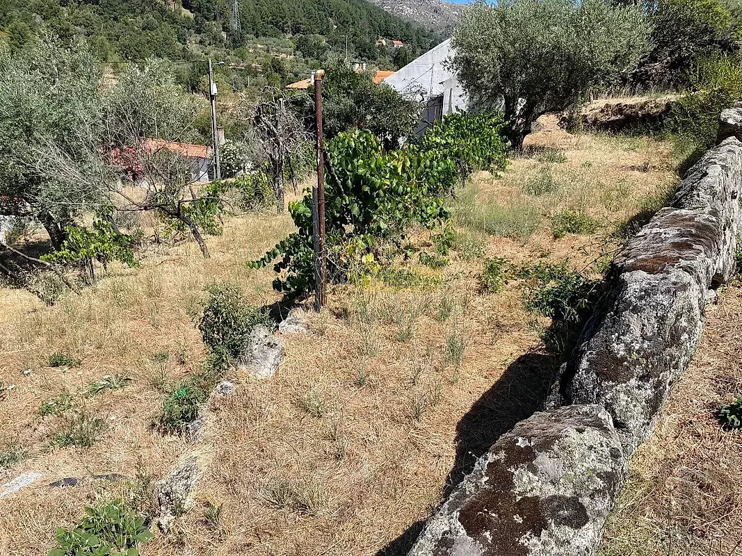 Moradia T3 à venda em Mizarela, Pêro Soares e Vila Soeiro, Guarda — foto 21