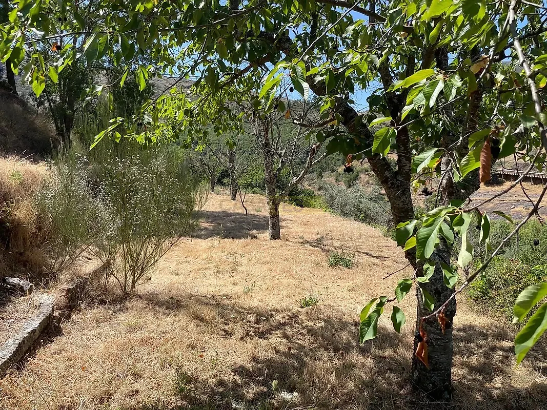 Moradia T3 à venda em Mizarela, Pêro Soares e Vila Soeiro, Guarda — foto 34
