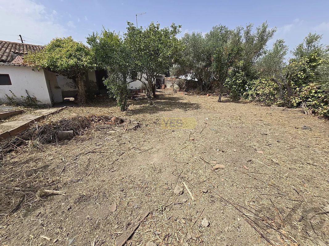 Moradia T4 à venda em Santa Bárbara de Padrões, Castro Verde — foto 21
