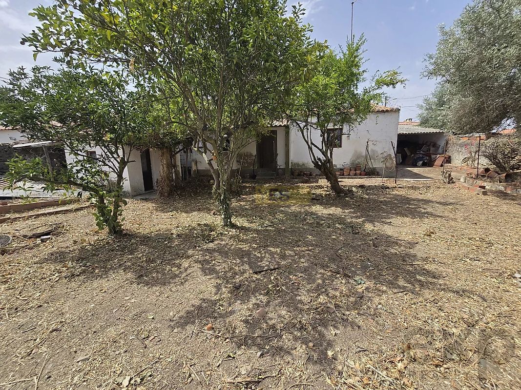 Moradia T4 à venda em Santa Bárbara de Padrões, Castro Verde — foto 19