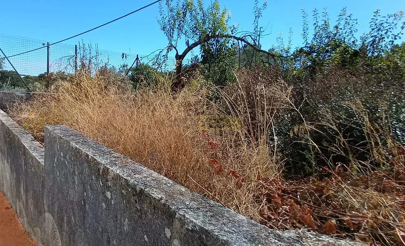 Moradia T2 à venda em Madalena e Beselga, Tomar — foto 7