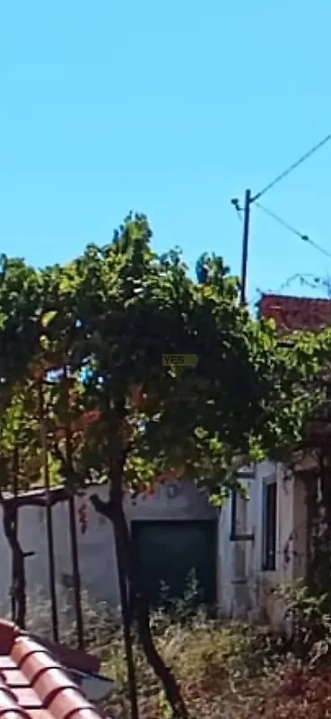 Moradia T2 à venda em Madalena e Beselga, Tomar — foto 5
