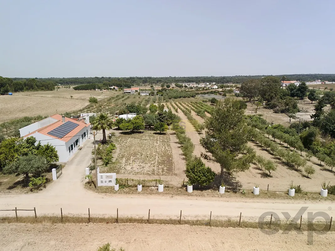 Moradia T3 à venda em Branca, Coruche — foto 34