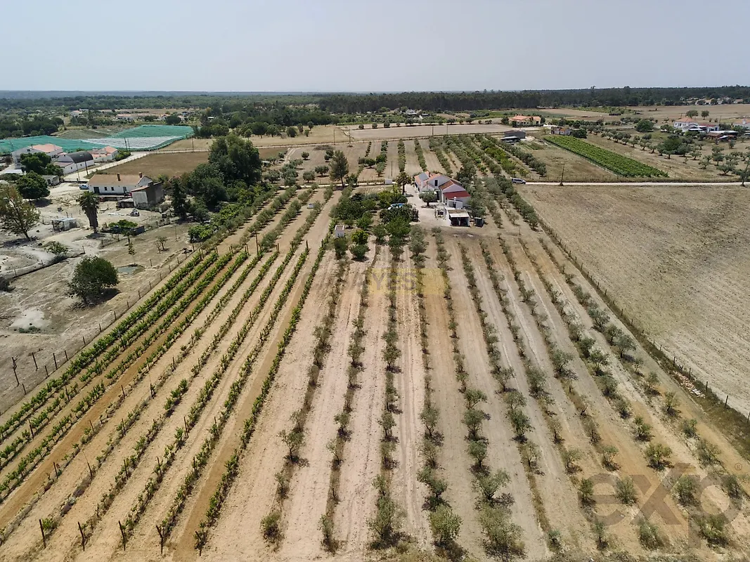 Moradia T3 à venda em Branca, Coruche — foto 2