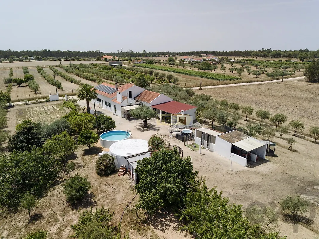 Moradia T3 à venda em Branca, Coruche — foto 26