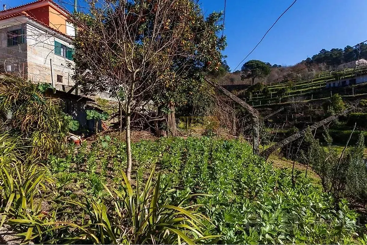 Moradia T2 à venda em Baião (Santa Leocádia) e Mesquinhata, Baião — foto 37