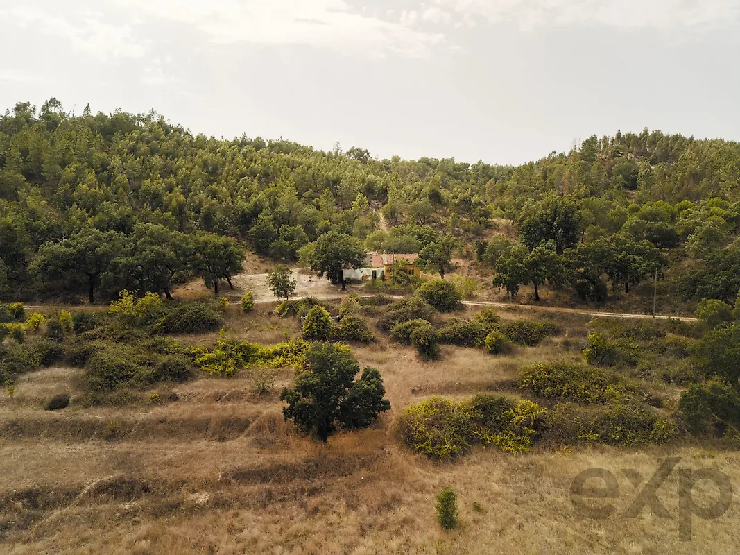 Moradia T1 à venda em Bemposta, Abrantes — foto 13