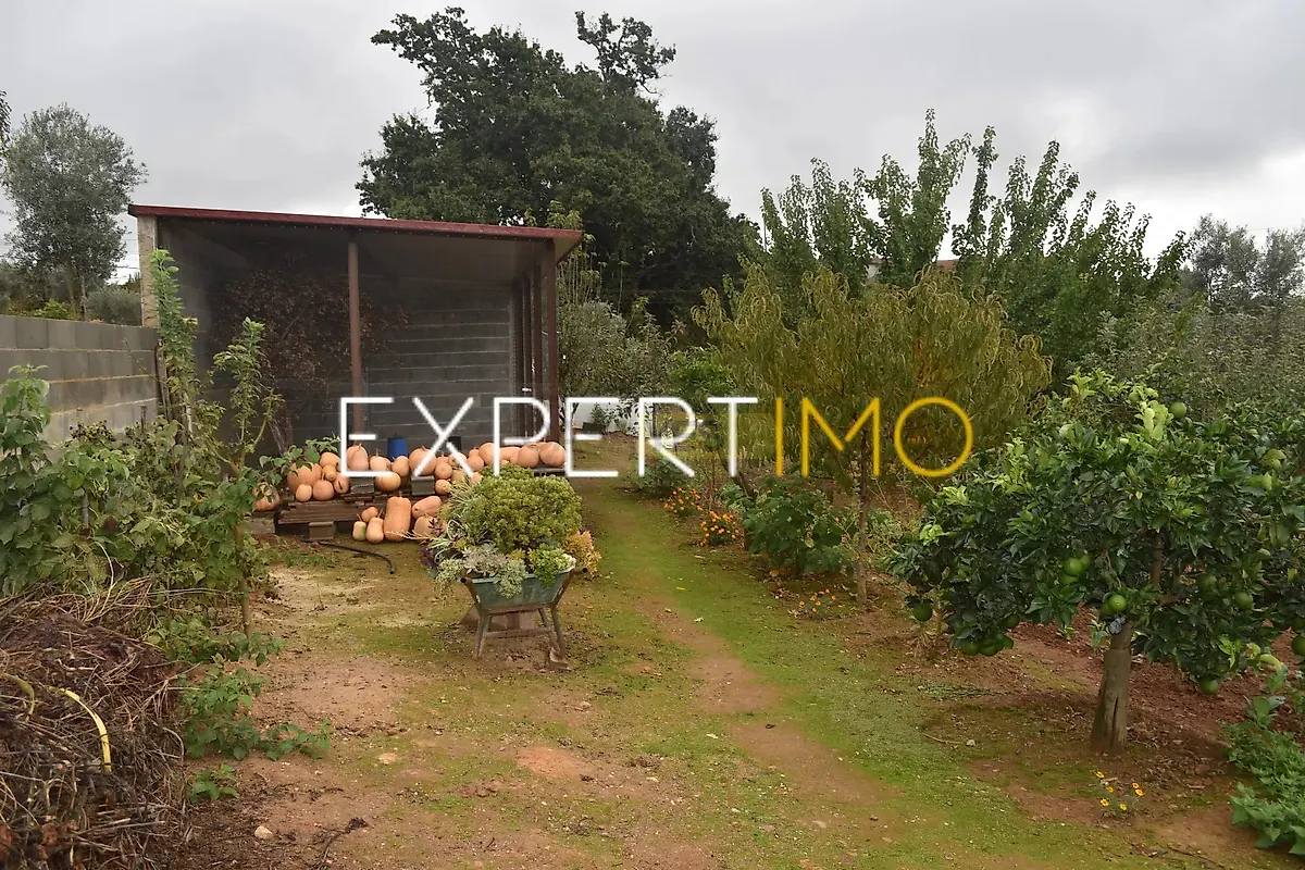 Moradia T5 à venda em Graça, Pedrógão Grande — foto 29
