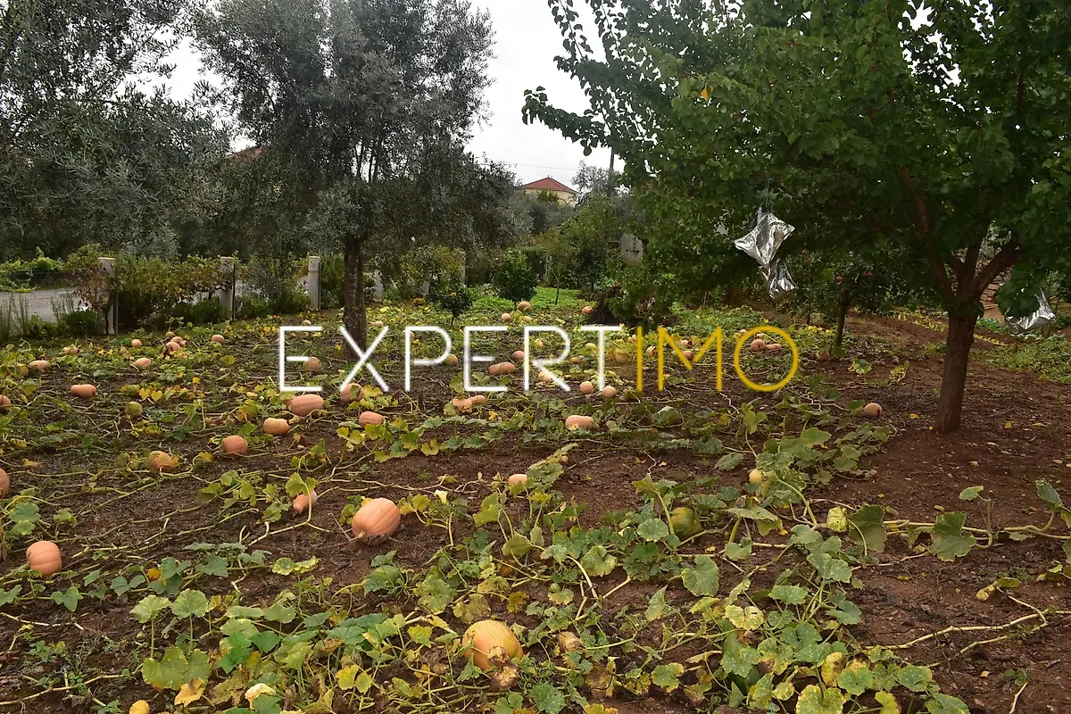Moradia T5 à venda em Graça, Pedrógão Grande — foto 30
