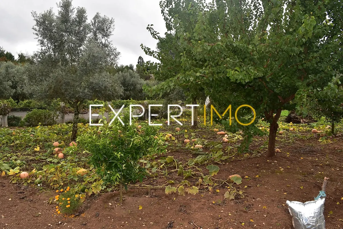 Moradia T5 à venda em Graça, Pedrógão Grande — foto 34