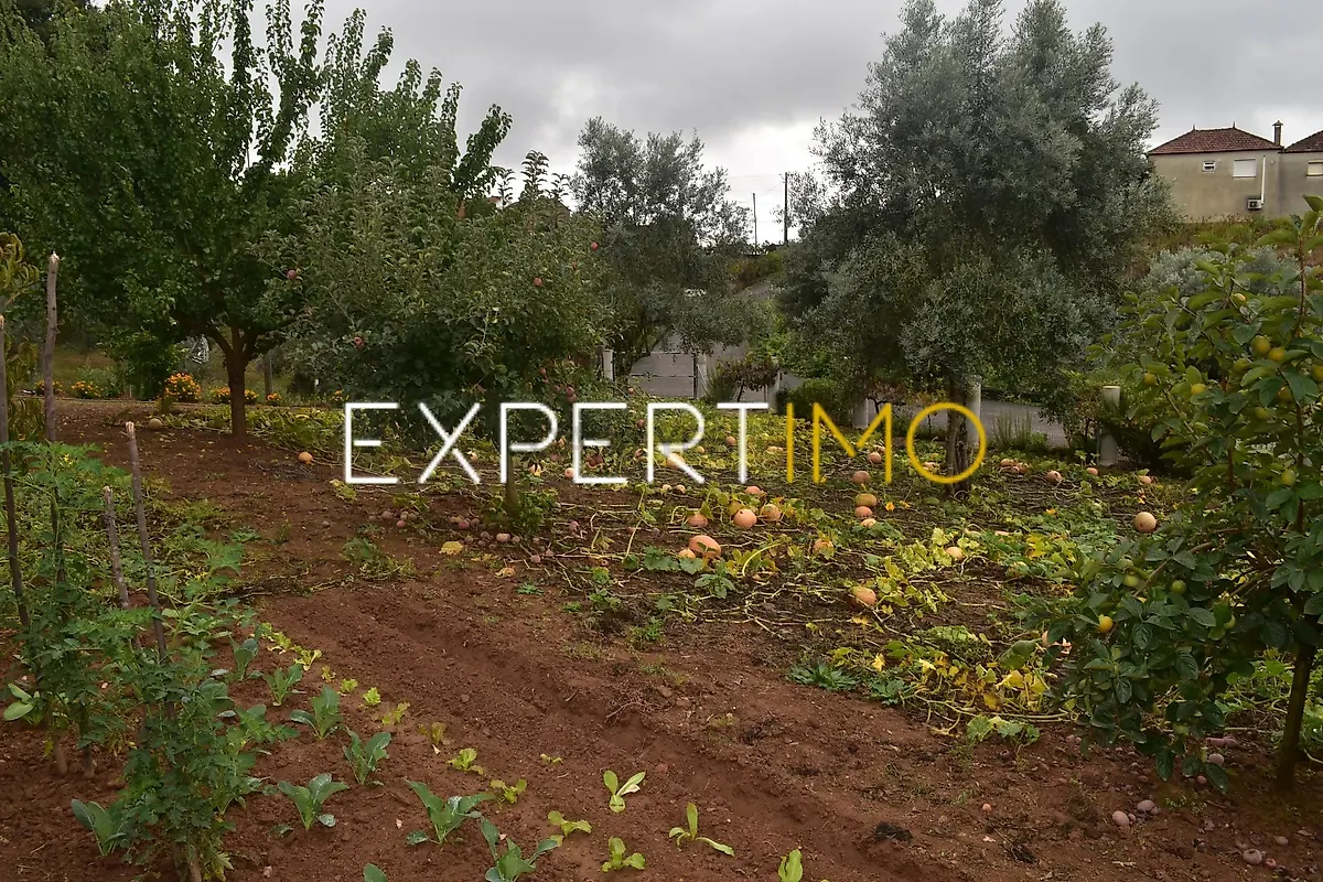Moradia T5 à venda em Graça, Pedrógão Grande — foto 35