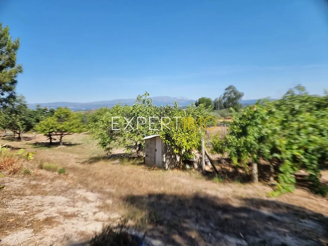 Moradia T4 à venda em Ervedal e Vila Franca da Beira, Oliveira do Hospital — foto 22
