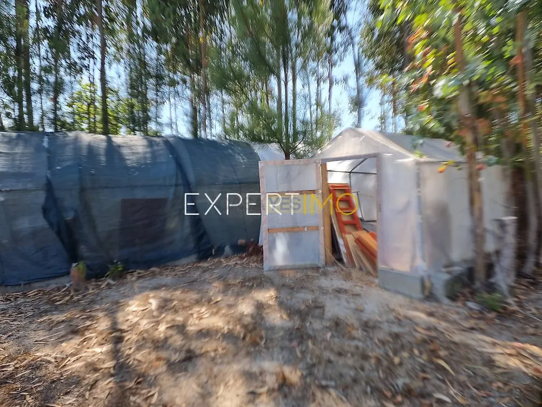 Moradia T4 à venda em Ervedal e Vila Franca da Beira, Oliveira do Hospital — foto 30