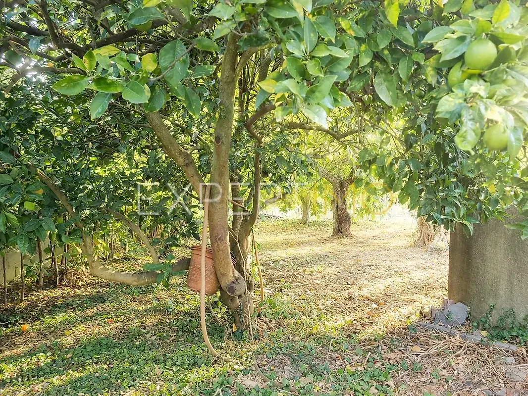 Moradia T5 à venda em Espariz e Sinde, Tábua — foto 21
