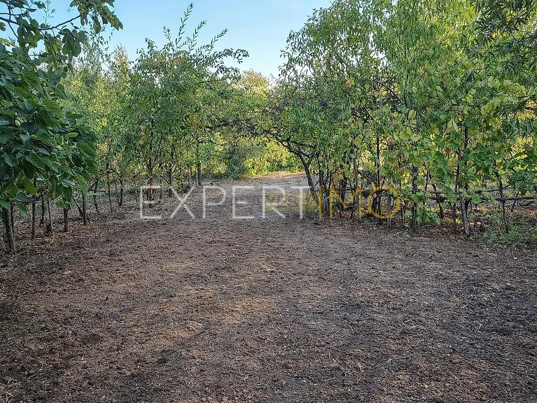 Moradia T5 à venda em Espariz e Sinde, Tábua — foto 22