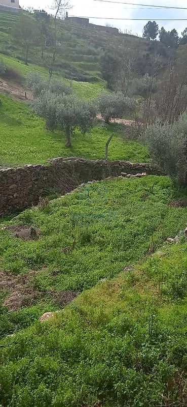 Moradia T2 à venda em Noura e Palheiros, Murça — foto 16