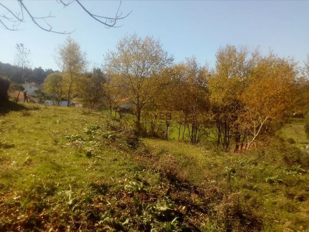Moradia T0 à venda em Fontoura, Valença — foto 9