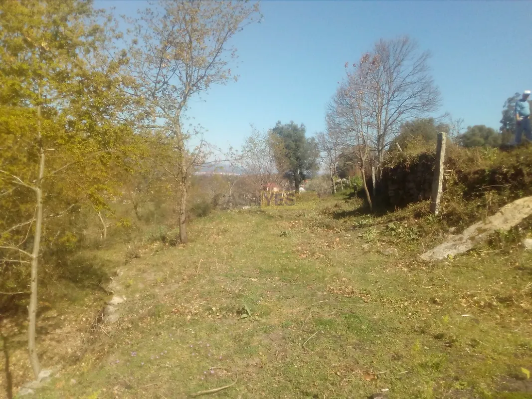 Moradia T0 à venda em Fontoura, Valença — foto 10