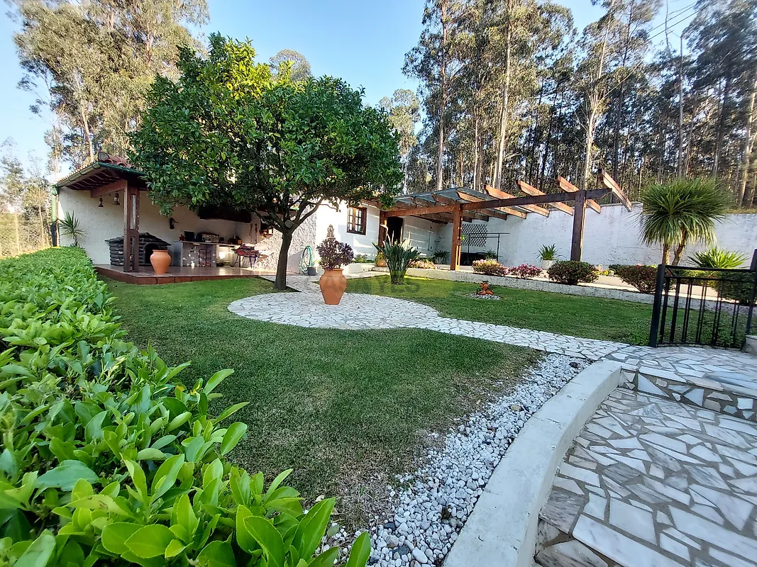 Moradia T3 à venda em Palme, Barcelos — foto 14